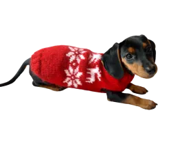 Christmas wool sweater with deer and snowflakes for a small dog, sweater deer for dog, christmas sweater with deer for little dachshund